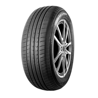 195/65R15 91V AUTOGREEN SC1